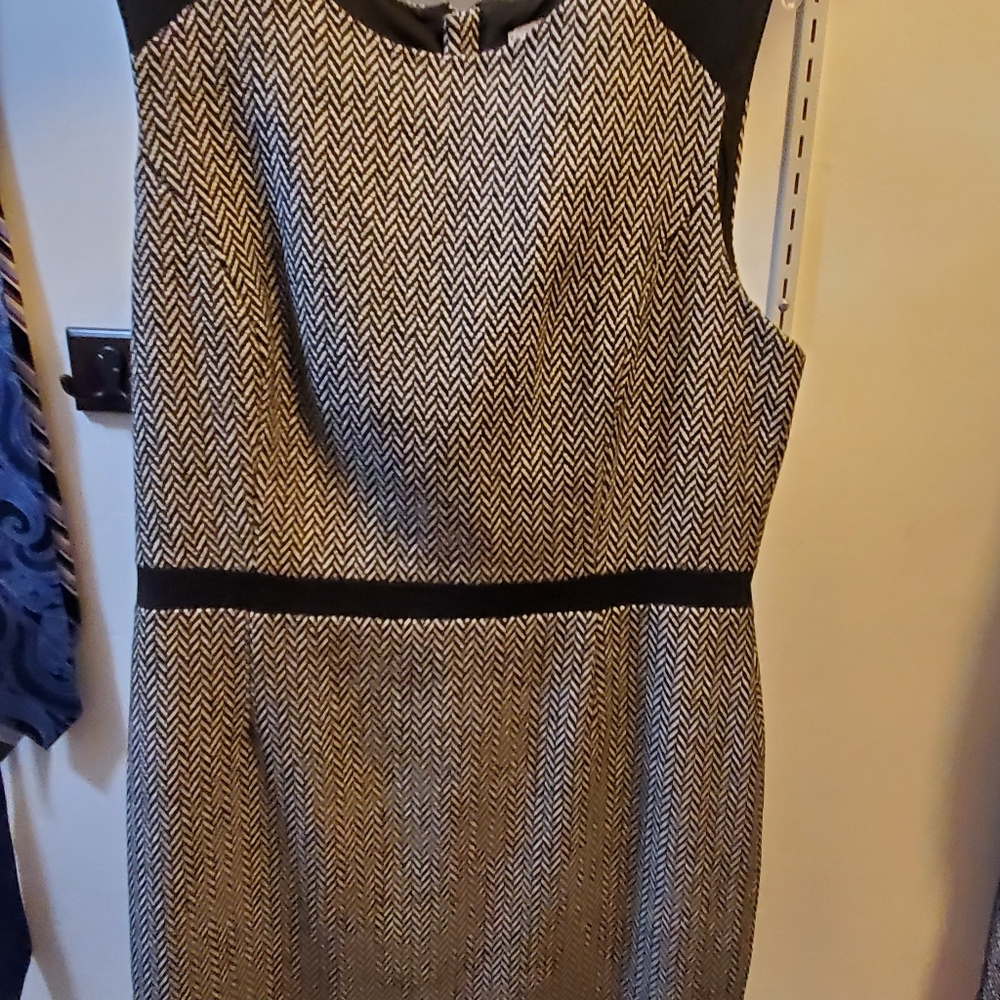 Banana Republic Women's fitted dress
